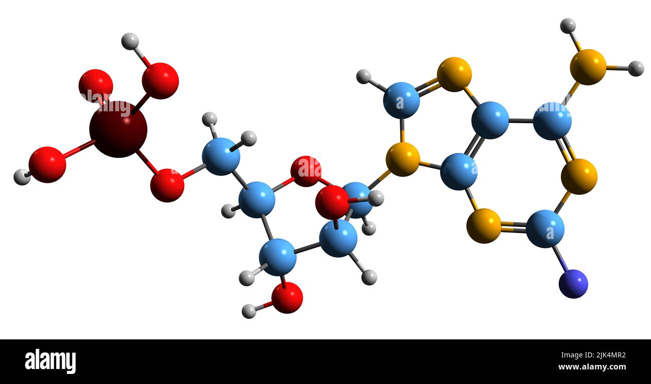 3D immagine della formula scheletrica della Fludarabina - struttura chimica molecolare dell'agente antineoplastico isolato su sfondo bianco Foto Stock