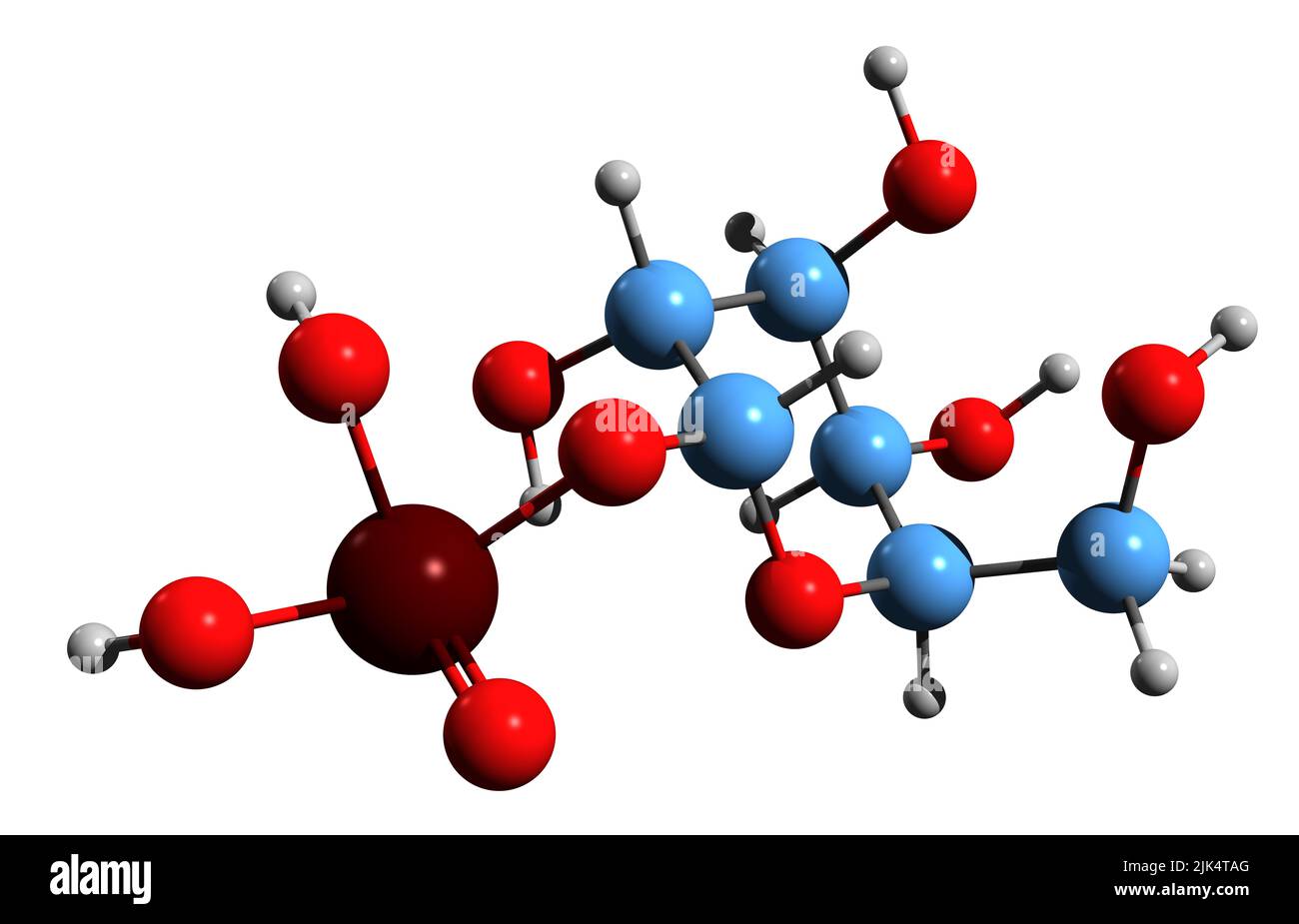 3D immagine del galattosio 1-fosfato formula scheletrica - struttura chimica molecolare del metabolita isolato su sfondo bianco Foto Stock