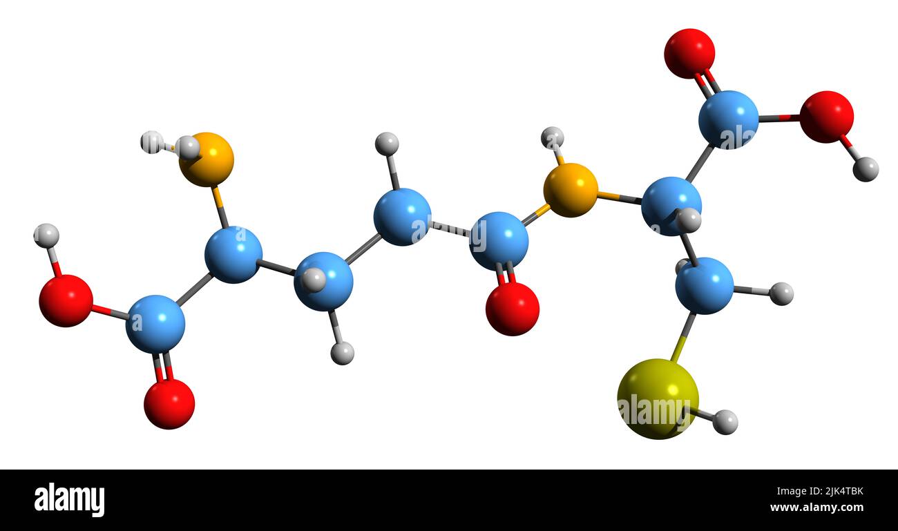 3D immagine della formula scheletrica gamma-L-glutamil-L-cisteina - struttura chimica molecolare del metabolita isolato su sfondo bianco Foto Stock