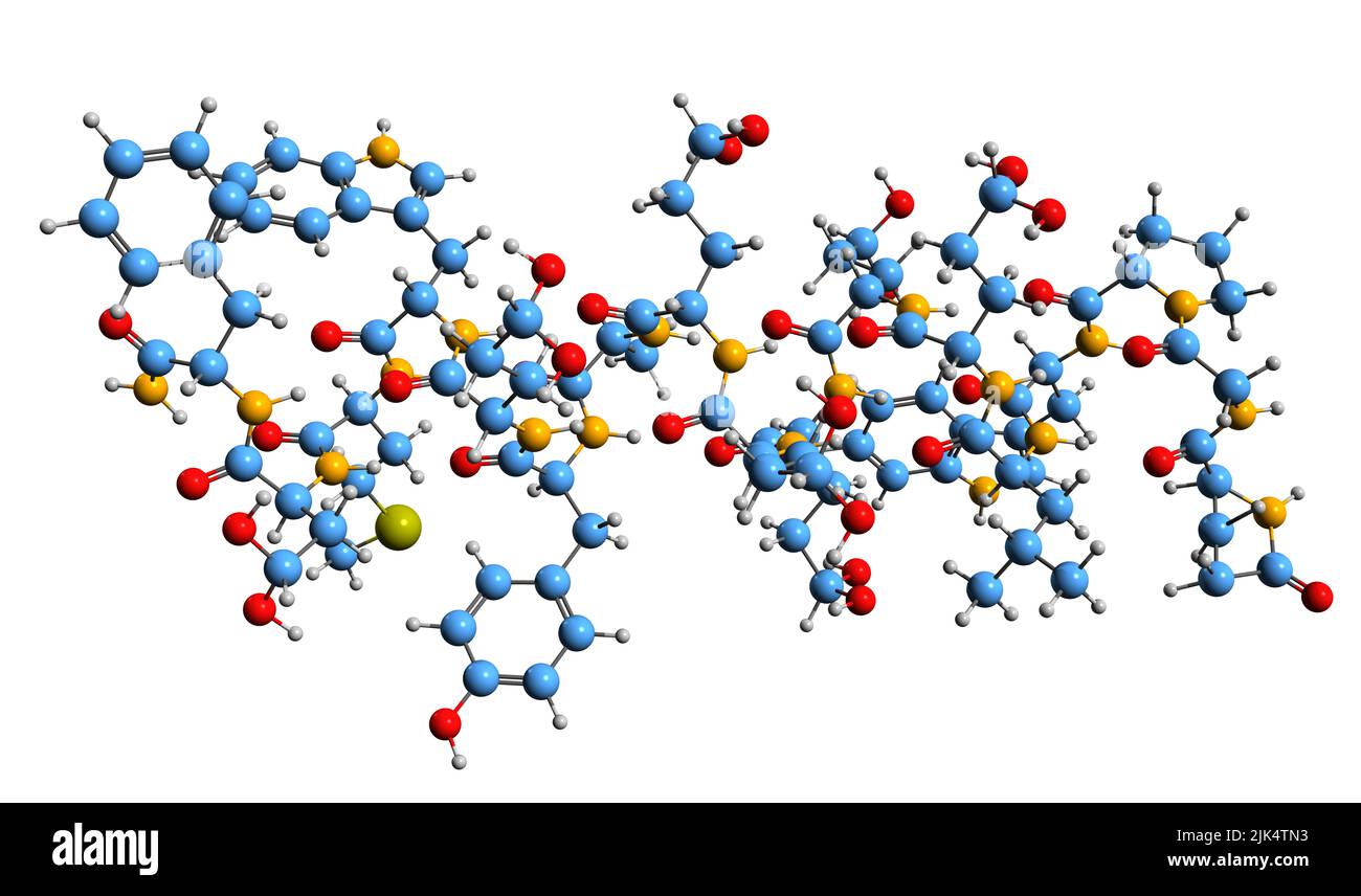 3D immagine della gastrina i formula scheletrica - struttura chimica molecolare dell'ormone proteico isolato su sfondo bianco Foto Stock