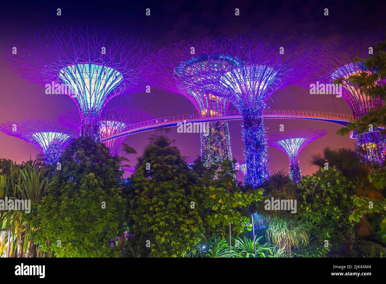 Il Supertree Grove illuminato presso i Giardini di Singapore presso la Baia Foto Stock