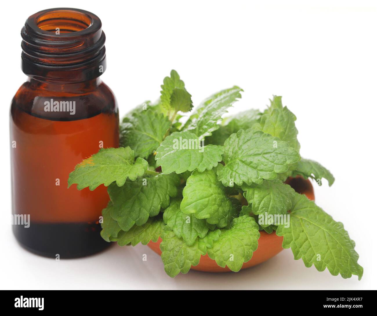 Foglie di balsamo al limone con olio essenziale estratto in bottiglia Foto Stock