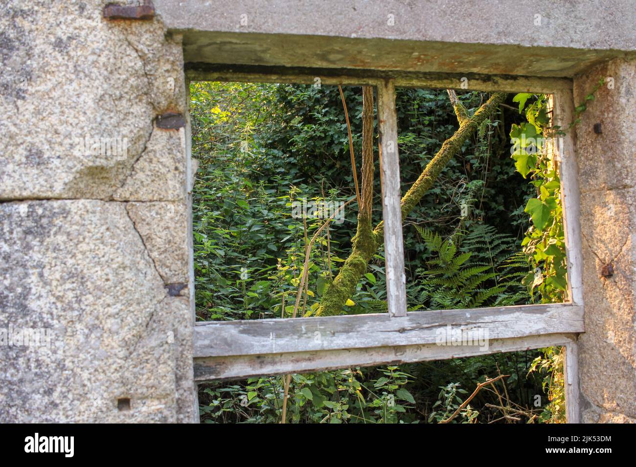 La natura si vede attraverso la finestra di una vecchia casa abbandonata che ho trovato in campagna Foto Stock