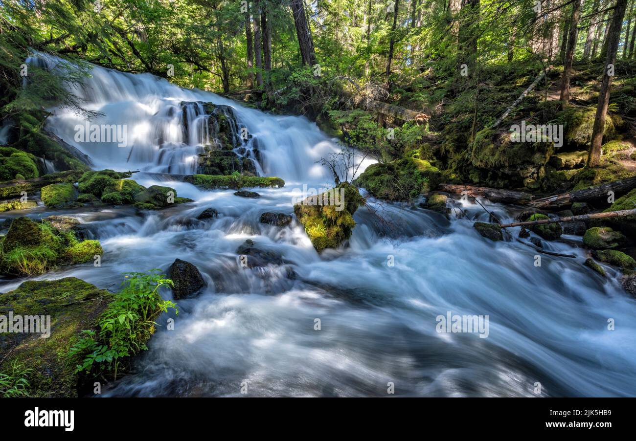 Mill Creek cade sulle cascate Pearsony a Prospect, Oregon. Foto Stock