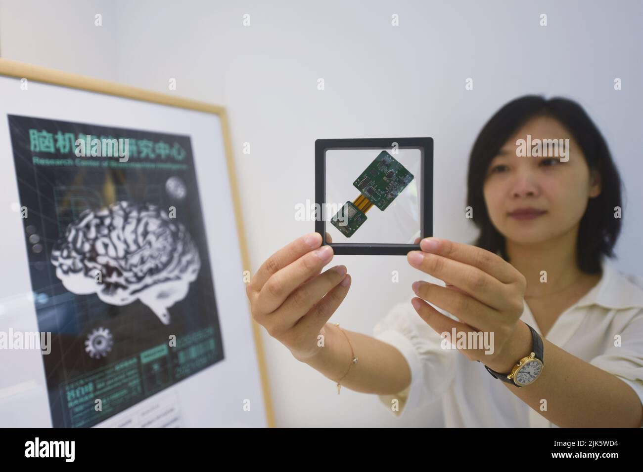 HANGZHOU, CINA - 31 LUGLIO 2022 - un dispositivo di regolazione neurale cablato ad alta precisione ad anello chiuso con chip cerebrale auto-sviluppato è raffigurato in mostra Foto Stock