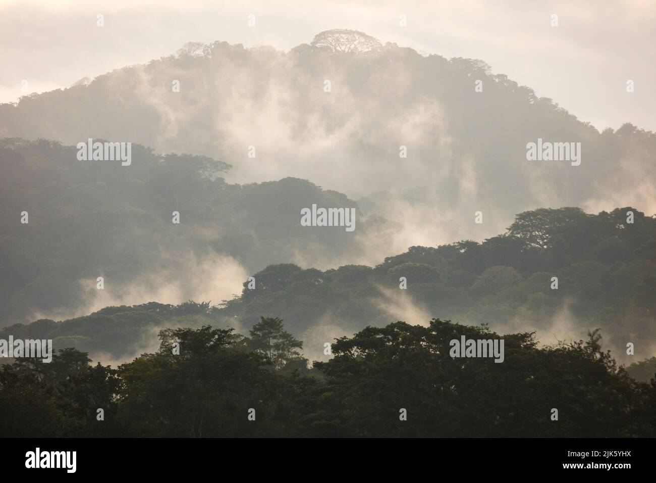 Paesaggio di Panama con foresta pluviale umida e misteriosa all'alba nel parco nazionale di Soberania, Repubblica di Panama, America Centrale. Foto Stock
