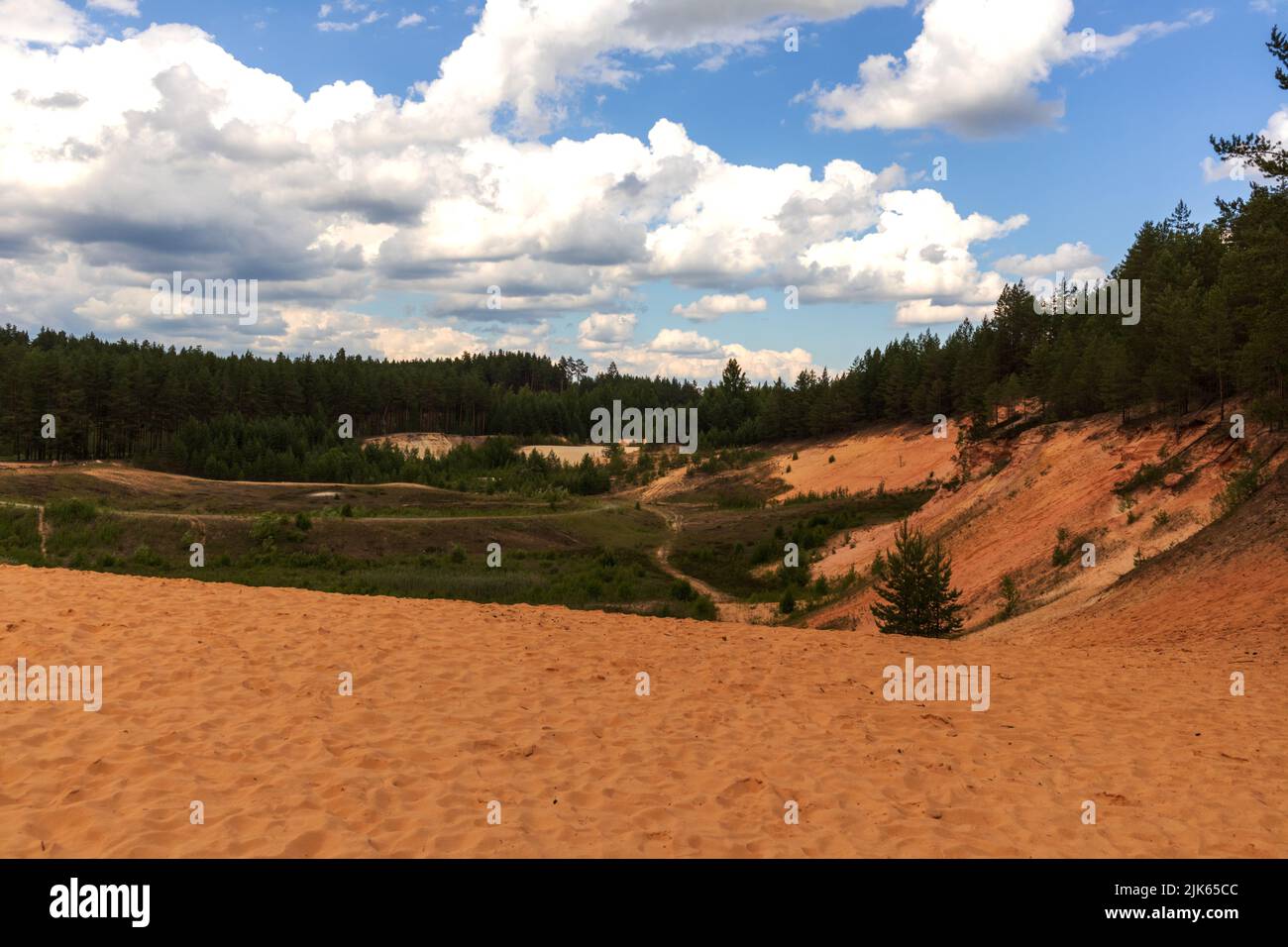 dune di sabbia gialla con pini verdi e abeti e cielo blu con nuvole Foto Stock