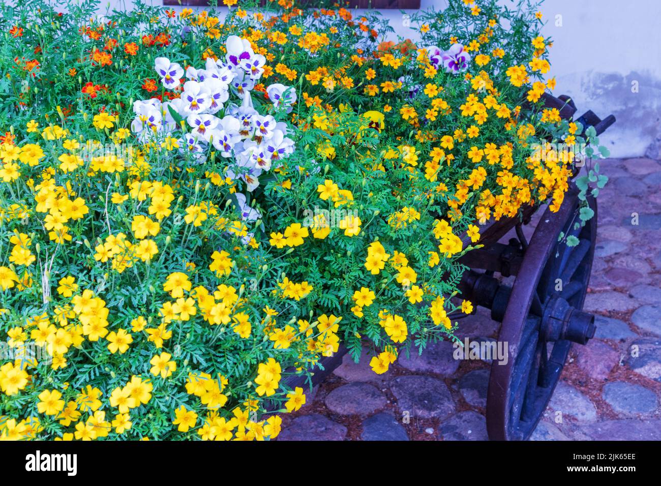 giallo, bianco e altri colori composizione floreale con ruota carretto su pavimentazione in pietra Foto Stock