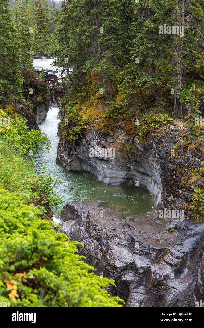 Cascate Athabasca, Canada Foto Stock