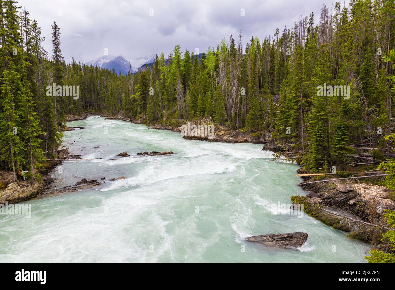 Il fiume Kicking Horse, Canada Foto Stock