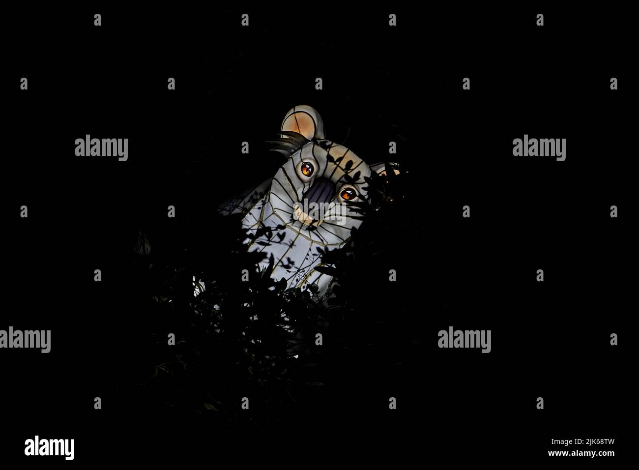 Osabrueck, Germania - 09 19 2020: Scultura illuminata allo zoo luci Osnabrueck mostrando un orso Koala Foto Stock