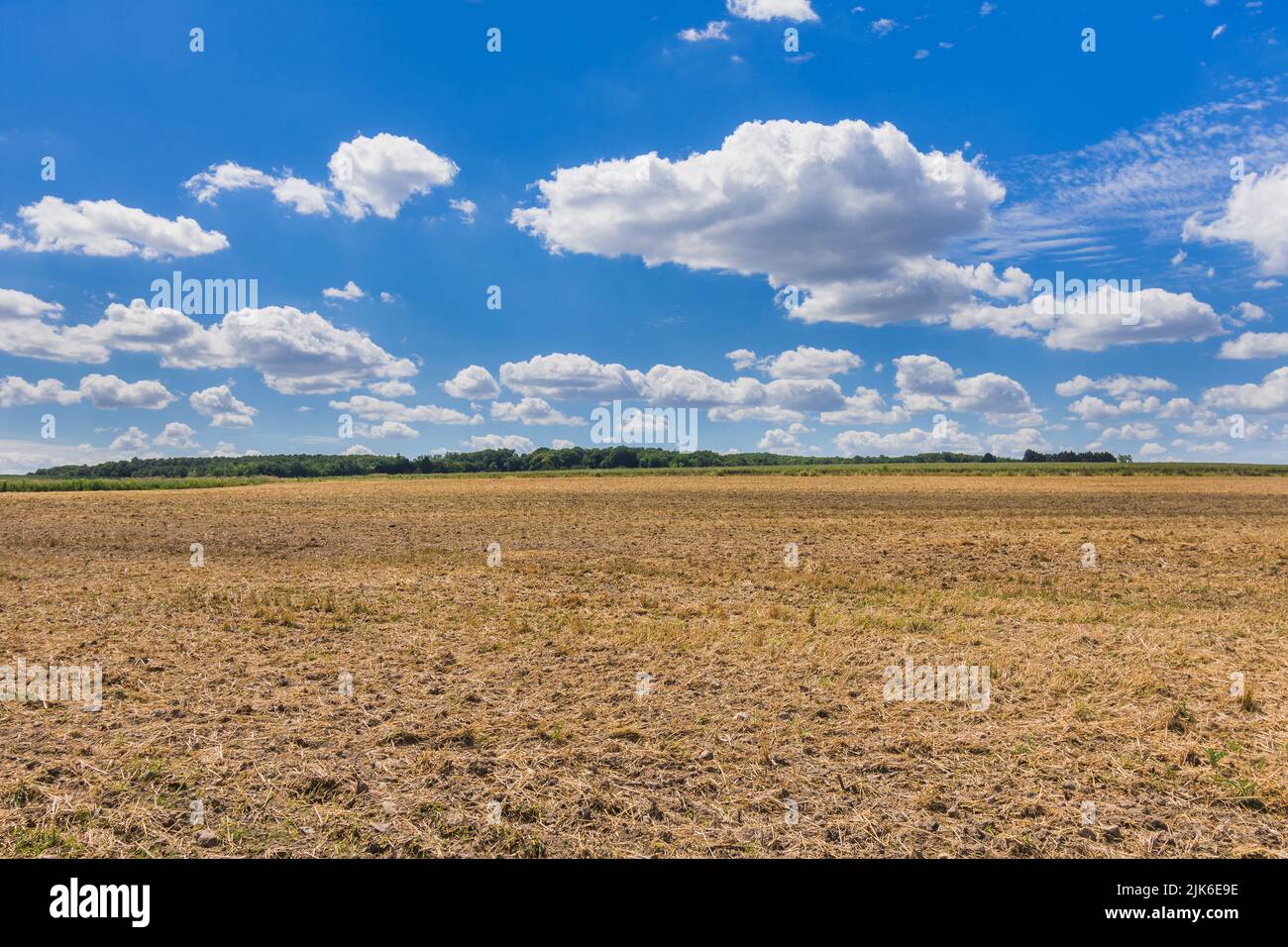 Fallow Farmland dopo la vendemmia primaverile - sud-Touraine, Ind-re-et-Loire (37), Francia. Foto Stock