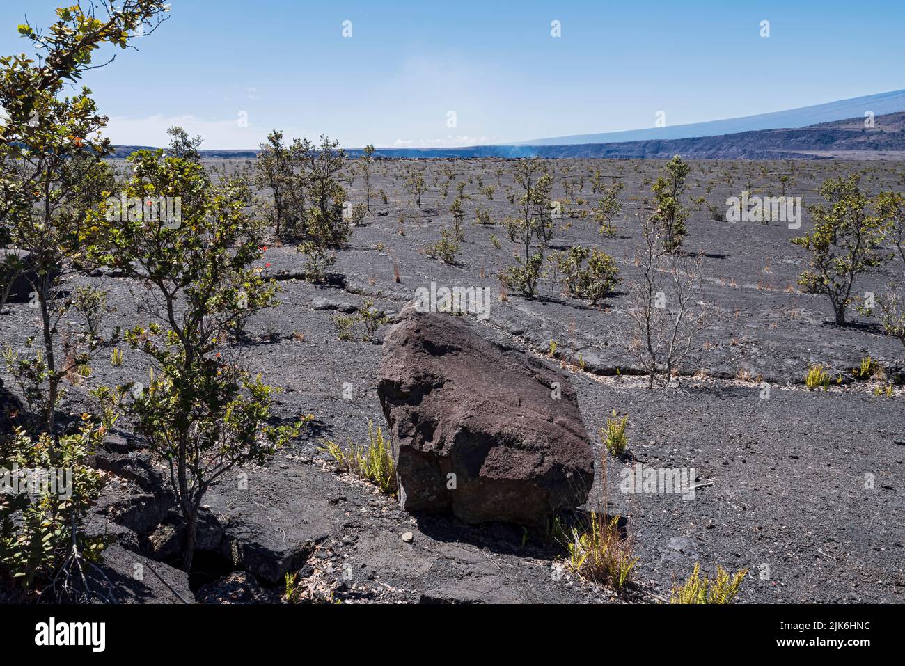 pianura lavica del cratere kilauea iki e del cratere halemaumau all'orizzonte al parco nazionale dei vulcani delle hawaii Foto Stock