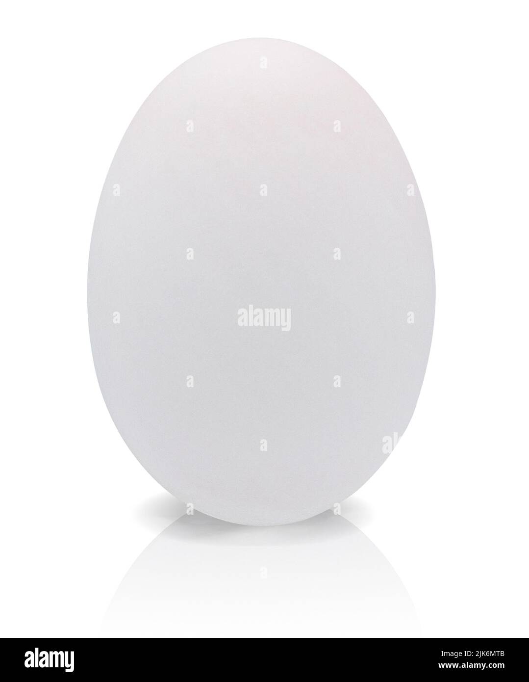 Uovo d'anatra isolato su sfondo bianco con percorso di ritaglio, primo piano, ombra Foto Stock