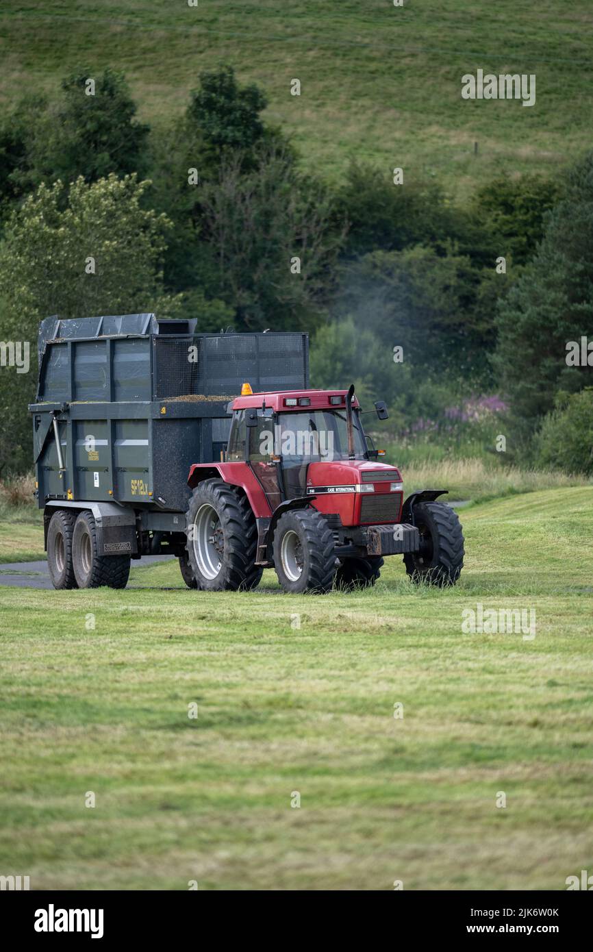 Trattore Case International 5140 4x4 che traina un rimorchio per insilato in un campo, Cumbria, Regno Unito. Foto Stock