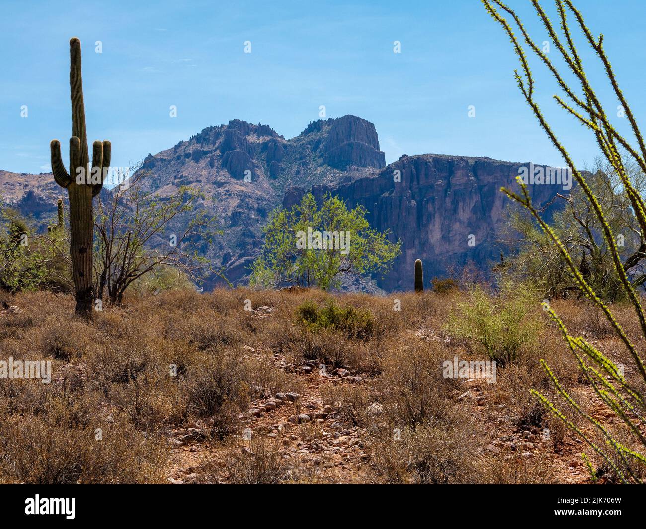Le Superstition Mountains a est di Phoenix sono la fonte di molteplici storie di oro, pericolo e morte. Foto Stock