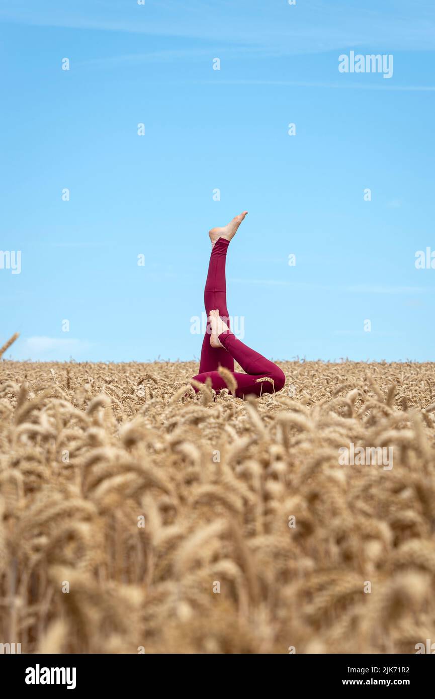 Donna che fa un capezzale in un campo di grano in estate. Foto Stock