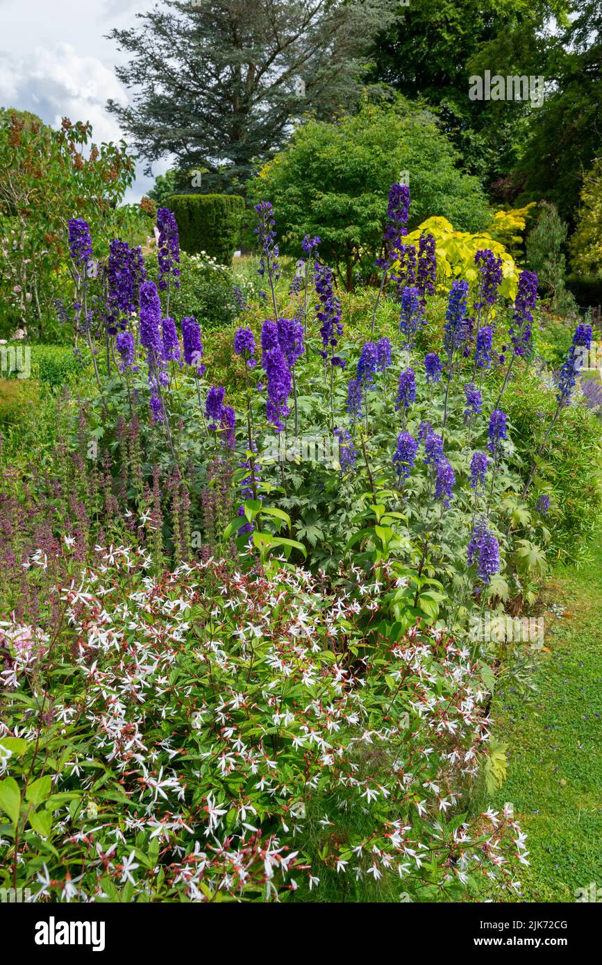 Estate piantando a Thornbridge Hall giardini vicino Bakewell, Peak District, Derbyshire, Inghilterra. Foto Stock