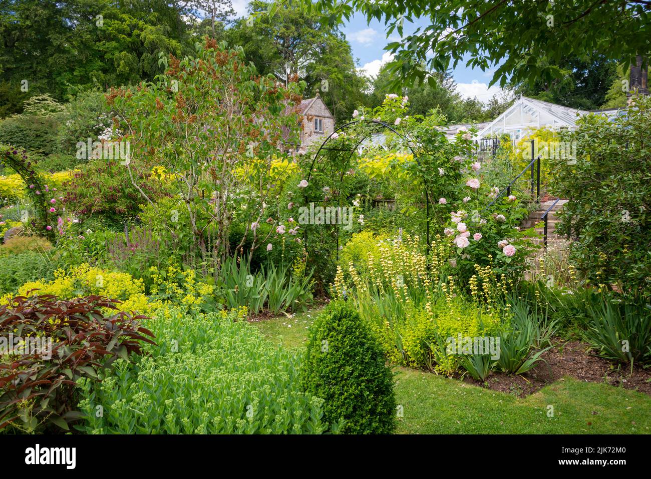 Estate piantando a Thornbridge Hall giardini vicino Bakewell, Peak District, Derbyshire, Inghilterra. Foto Stock