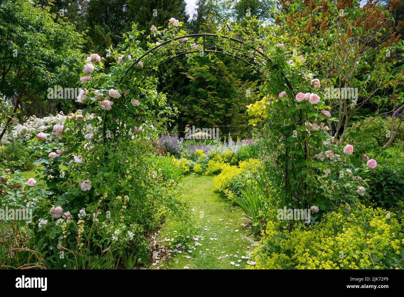 Estate piantando a Thornbridge Hall giardini vicino Bakewell, Peak District, Derbyshire, Inghilterra. Foto Stock