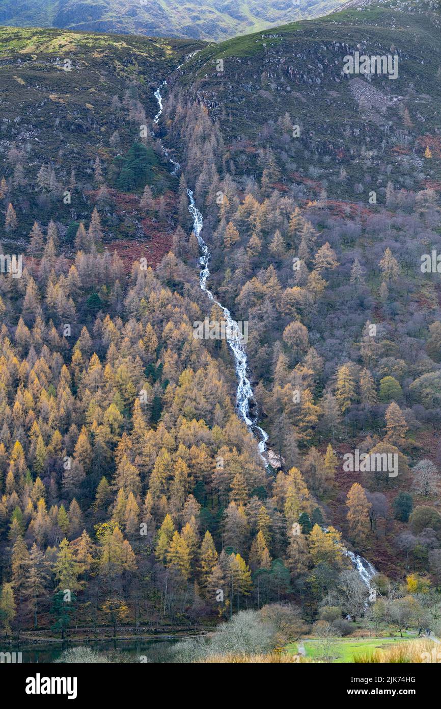 Torrente di montagna che scende lungo una montagna dopo una tempesta nel Lake District inglese, Cumbria. Foto Stock