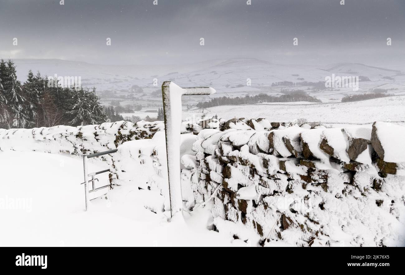 Muri a secco e cartelli stradali ricoperti di neve che sgocciolava, Wensleydale, North Yorkshire, UK. Foto Stock