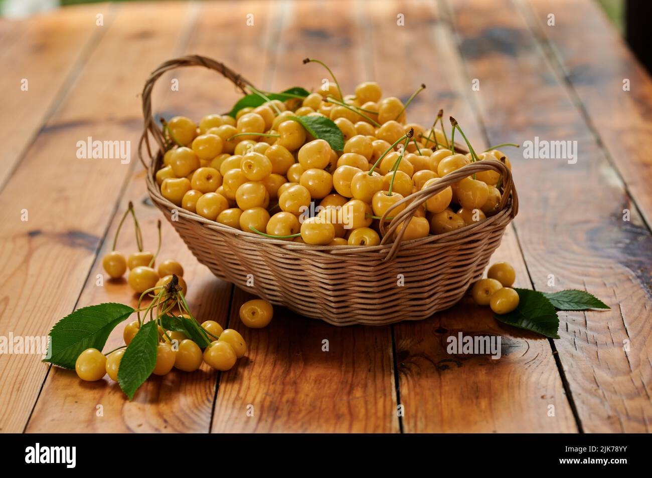 Ciliegia gialla dal giardino in un cestino, raccolta stagionale di bacche sul tavolo Foto Stock