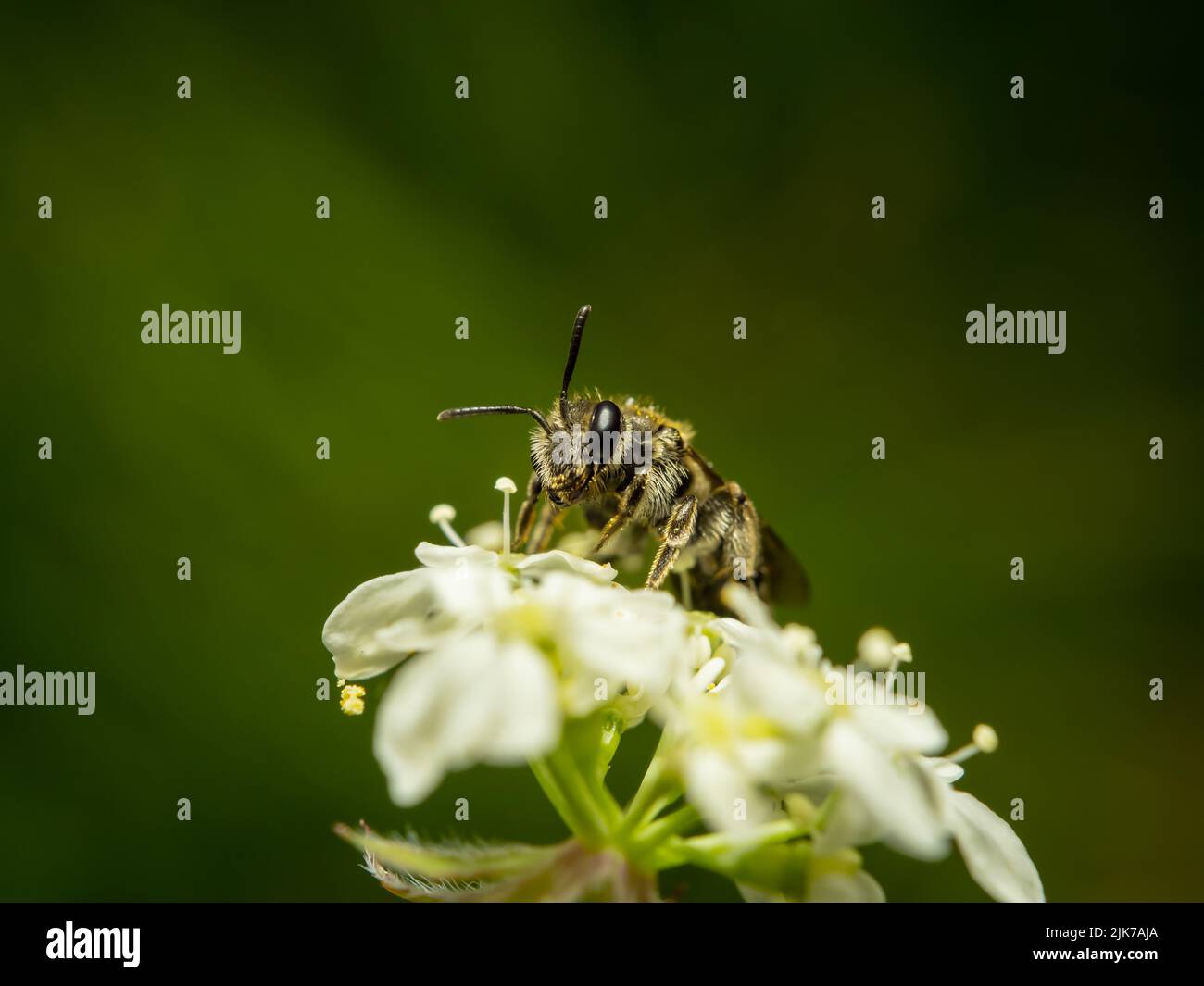 Raccordo a T di lavoro Foto Stock