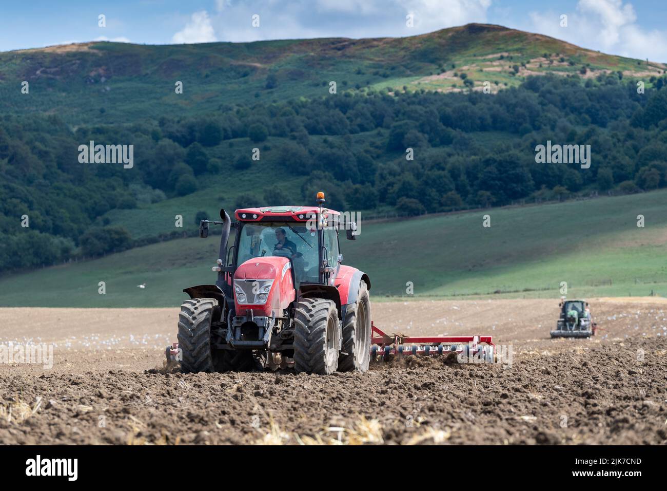 Coltivatore con un trattore McCormick che prepara il letto di semina, mentre un trattore con seminatrice segue. North Yorkshire, Regno Unito. Foto Stock