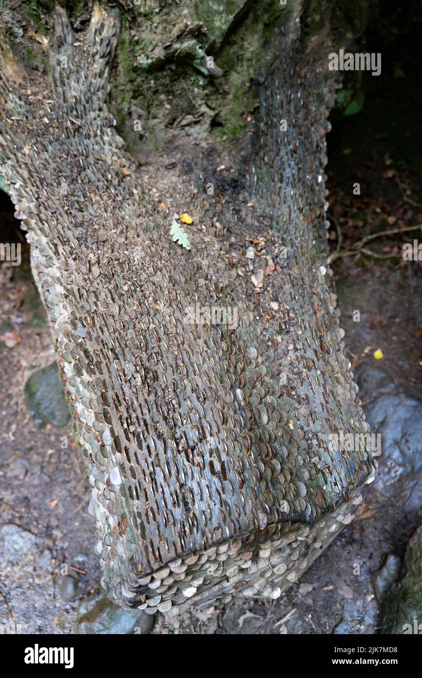 Antico tronco di alberi ricoperto di vecchie monete metalliche incastonate nella corteccia Foto Stock