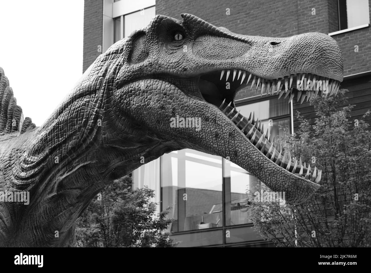 Sentiero dei dinosauri di leeds immagini e fotografie stock ad alta ...