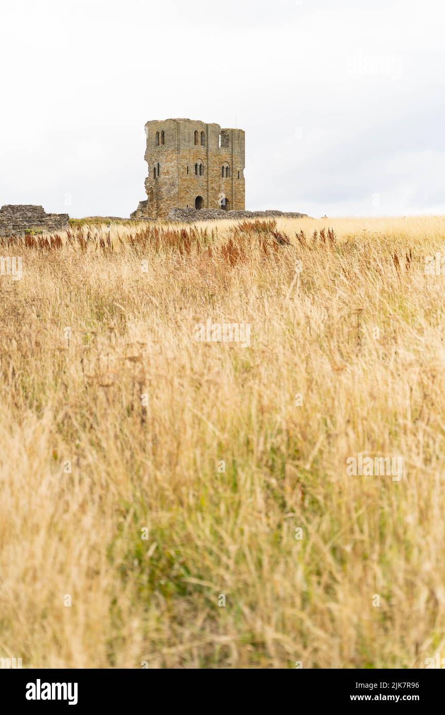 Il castello medievale continua a sorgere dalle praterie dorate nella campagna dello Yorkshire Foto Stock