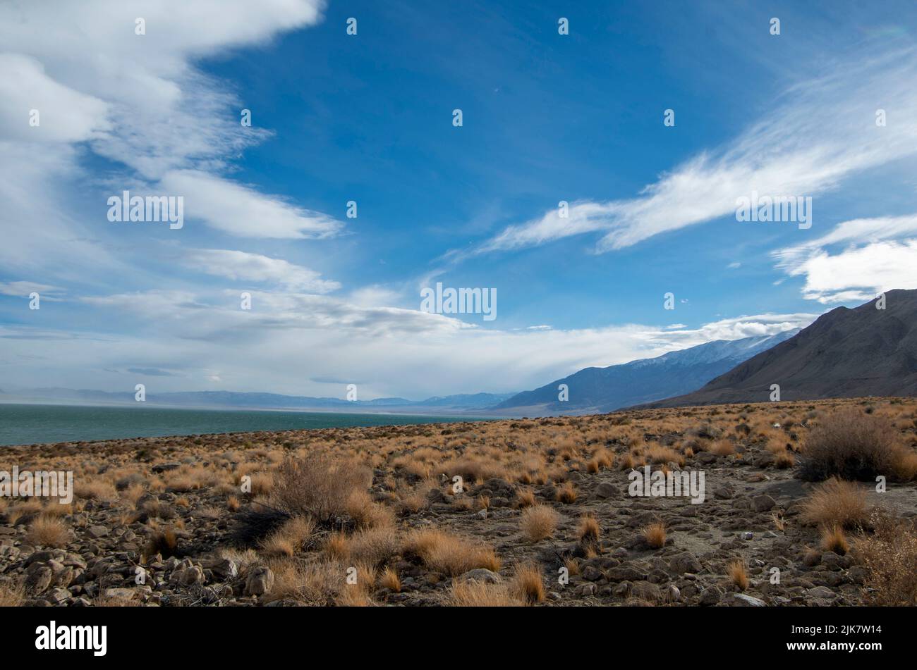 Il lago Walker è una vista interessante nei deserti del Nevada, USA. Foto Stock