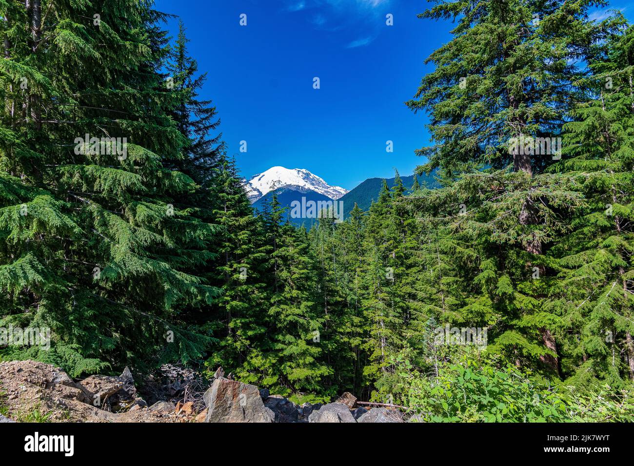 Luce mattutina sul Monte Ranier dal Parco Nazionale del Monte Ranier Foto Stock