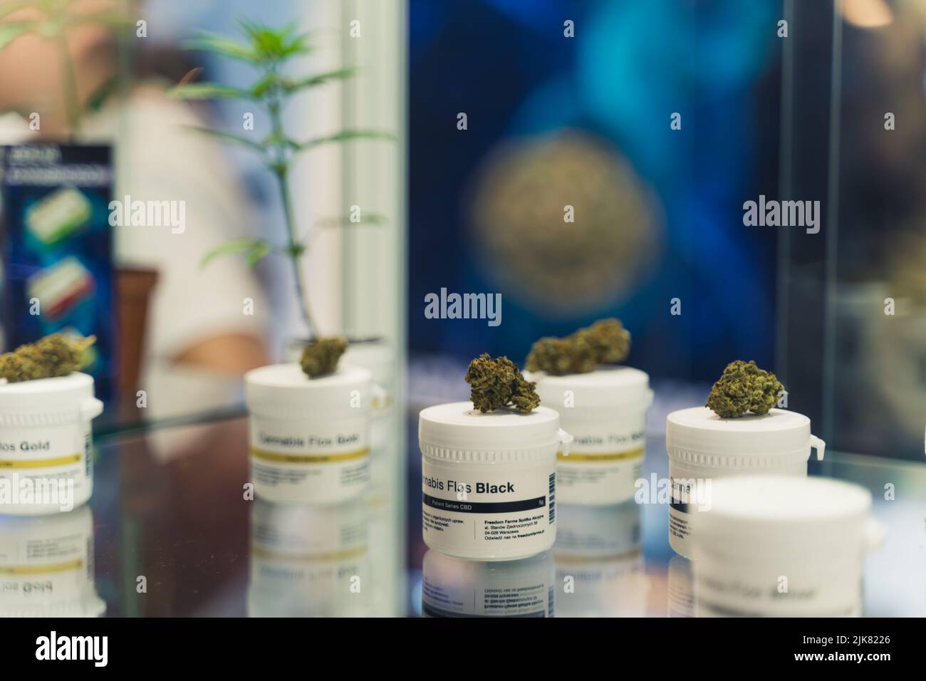 05.28.2022 Varsavia, Polonia. Confezioni di cilindri in plastica bianca su una vetrina in vetro che presentano cannabis CBD essiccata CBG alternativa alla medicina chimica. Foto di alta qualità Foto Stock