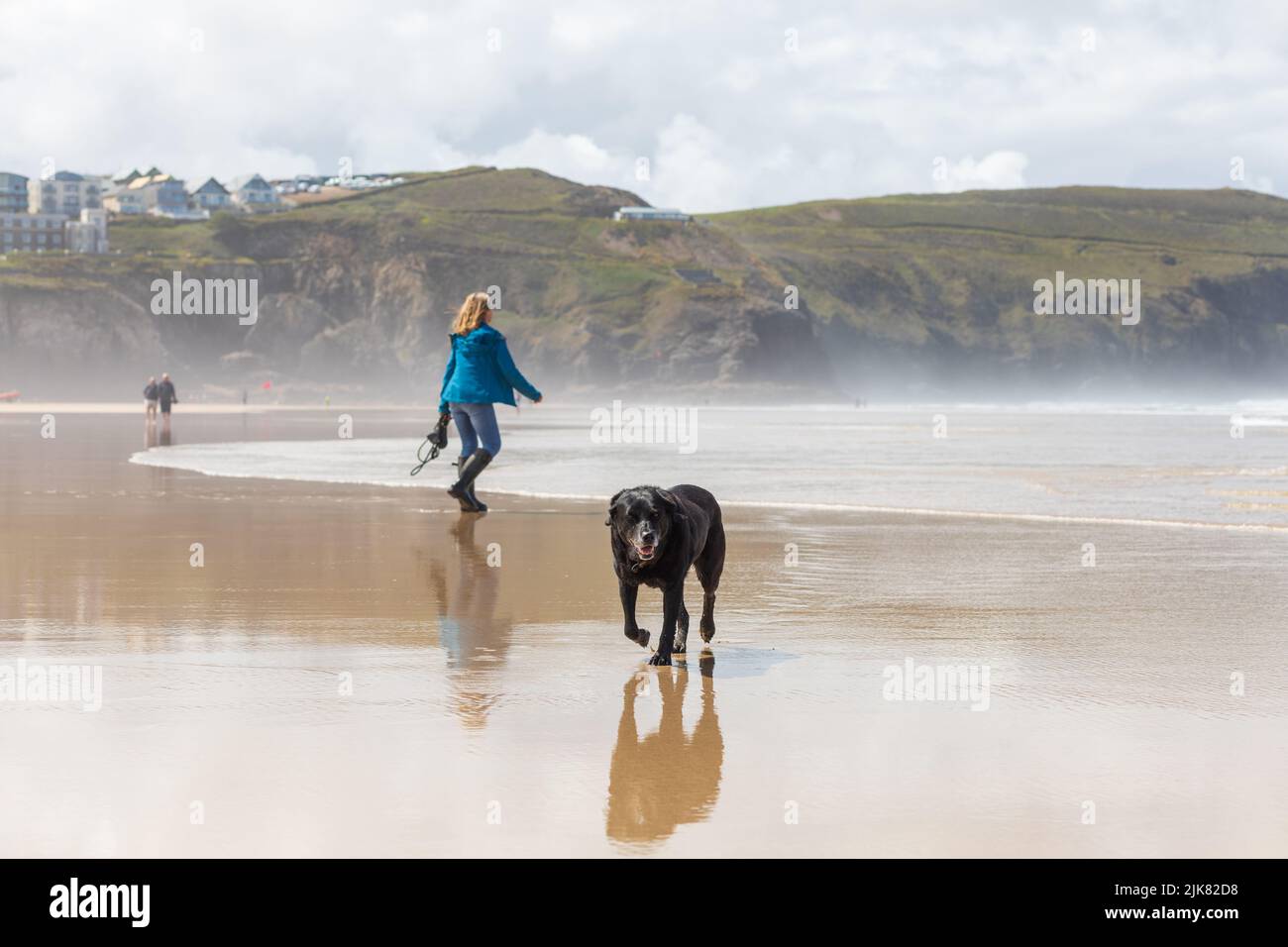 Un cane nero cammina nella sabbia bagnata verso lo spettatore su una spiaggia come una signora passa dietro. Scogliere della Cornovaglia, case e sfondo marino Foto Stock