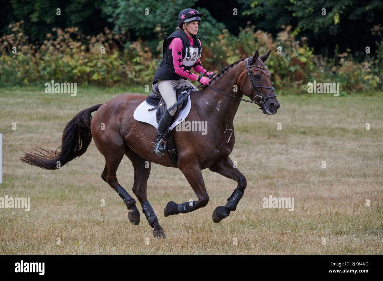 East Budleigh Salterton, Regno Unito, 31 lug, 2022, Sheila Williams guida Donail Beauanco durante la sezione Cross-Country a Bicton Horse Trials. Credit: Will Tudor/Alamy Live News Foto Stock