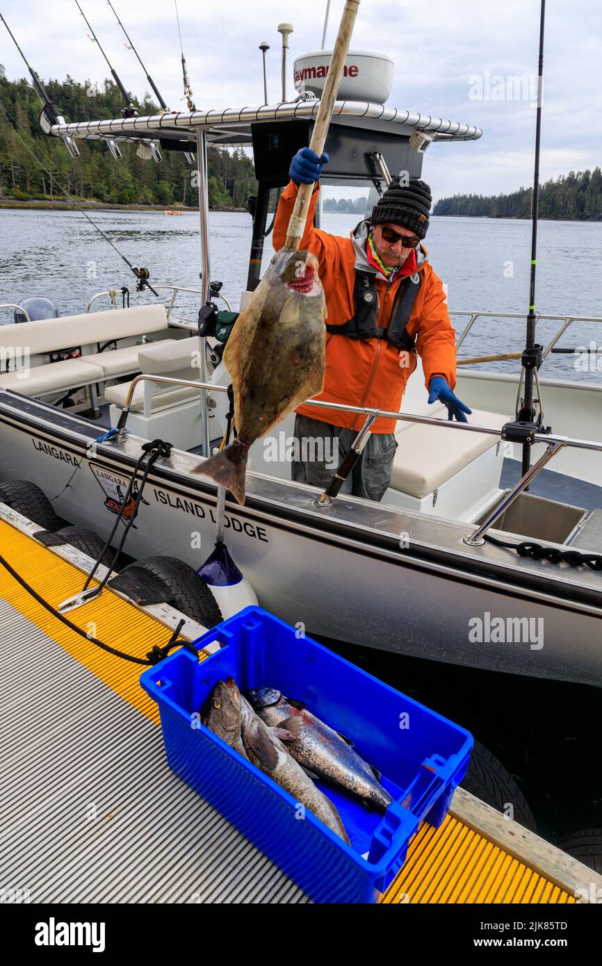 Langara Island, British Columbia, Canada - 1 giugno 2022: Guida alla pesca con catture del giorno sul porto turistico e molo di Langara Fishing Lodge situato o Foto Stock