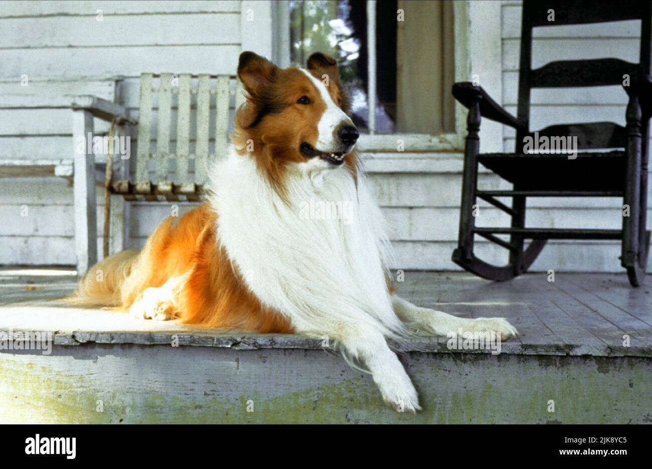 Lassie Film: Lassie (1994) regista: Daniel Petrie 22 luglio 1994 **ATTENZIONE** questa fotografia è solo ad uso editoriale ed è il copyright di PARAMOUNT e/o del fotografo assegnato dalla Film o dalla Production Company e può essere riprodotto solo da pubblicazioni in concomitanza con la promozione del suddetto Film. È necessario un credito obbligatorio per PARAMOUNT. Il fotografo deve essere accreditato anche quando è noto. Nessun uso commerciale può essere concesso senza l'autorizzazione scritta della Film Company. Foto Stock