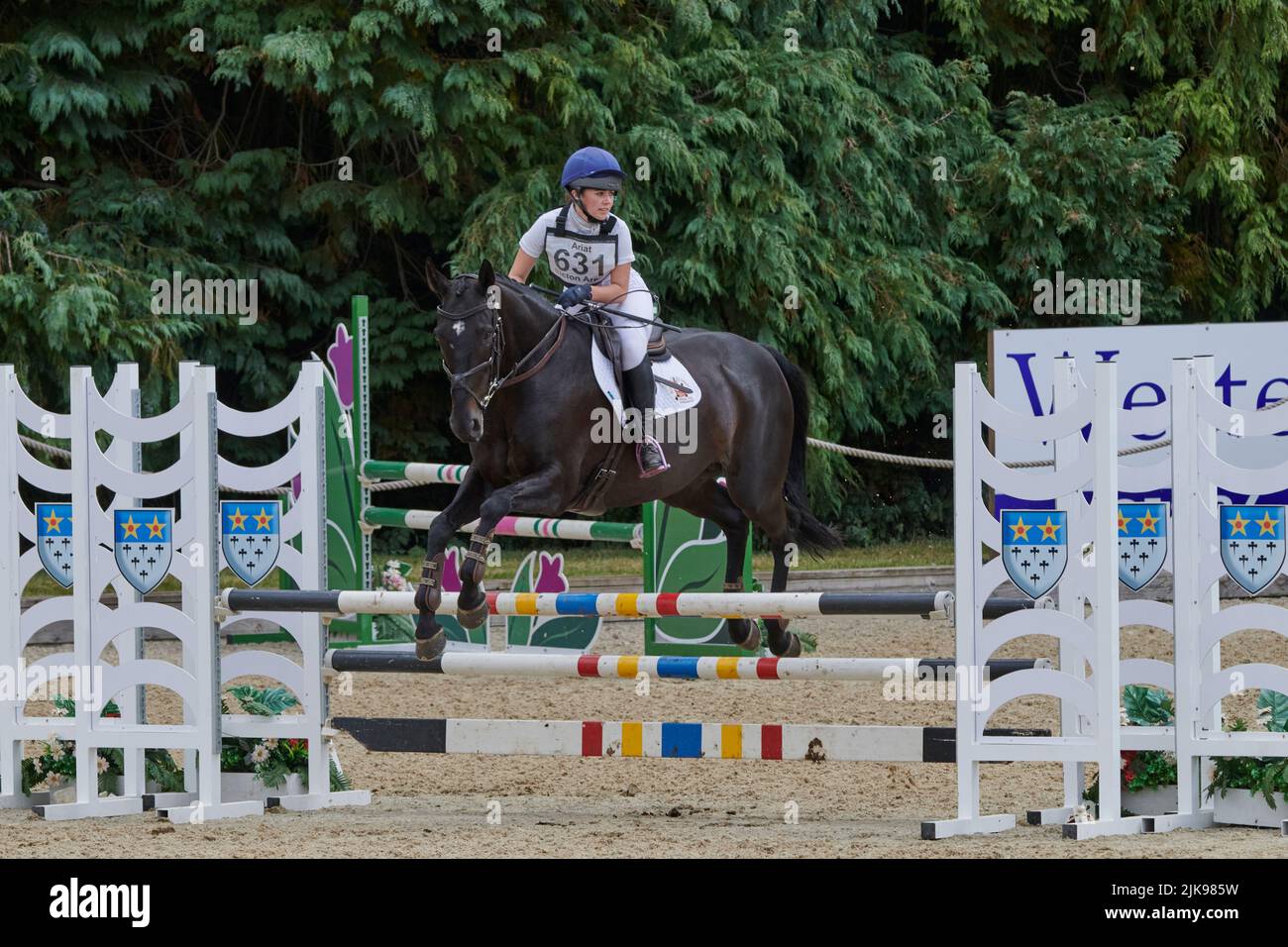 East Budleigh Salterton, Regno Unito, 31 lug, 2022, Katie Bambridge guida Lawa nella sezione di showjumping di Bicton Horse Trials a Bicton Horse Trials. Credit: Will Tudor/Alamy Live News Foto Stock