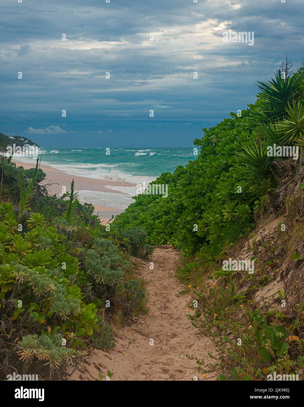 Bermuda Coastal Trail fino a Pink Sand Beach nel South Shore Park in prima mattinata Foto Stock