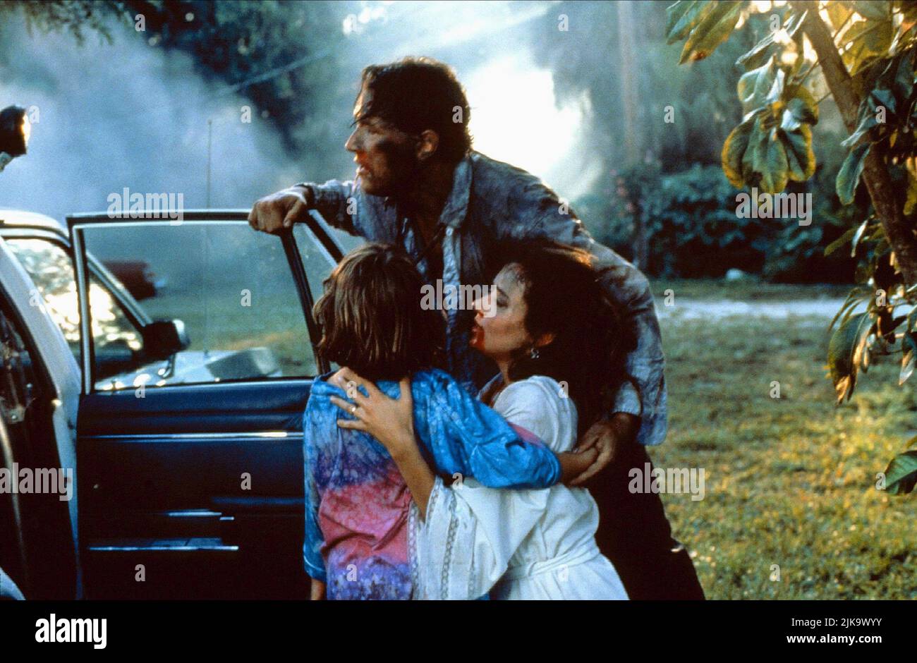 Brian Wimmer & mia Sara Film The Maddening (USA 1995) personaggi: David Osborne & Cassie Osborne regista: Danny Huston 16 giugno 1995 **WARNING** questa fotografia è solo per uso editoriale ed è copyright dei MEDIA THINKFACTORY e/o del fotografo assegnato dalla Film or Production Company e può essere riprodotta solo da pubblicazioni in concomitanza con la promozione del suddetto Film. È richiesto un credito obbligatorio per il SUPPORTO THINKFACTORY. Il fotografo deve essere accreditato anche se conosciuto. Nessun uso commerciale può essere concesso senza l'autorizzazione scritta di The Film Company. Foto Stock