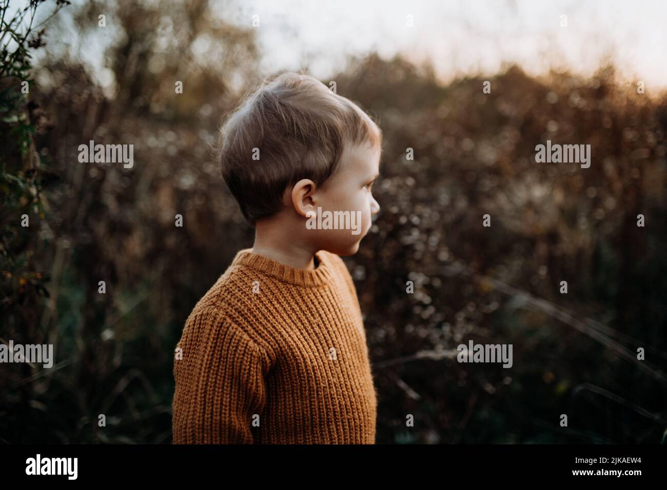 Ritratto di ragazzo carino con maglione a maglia in nautre, concetto autunnale. Foto Stock