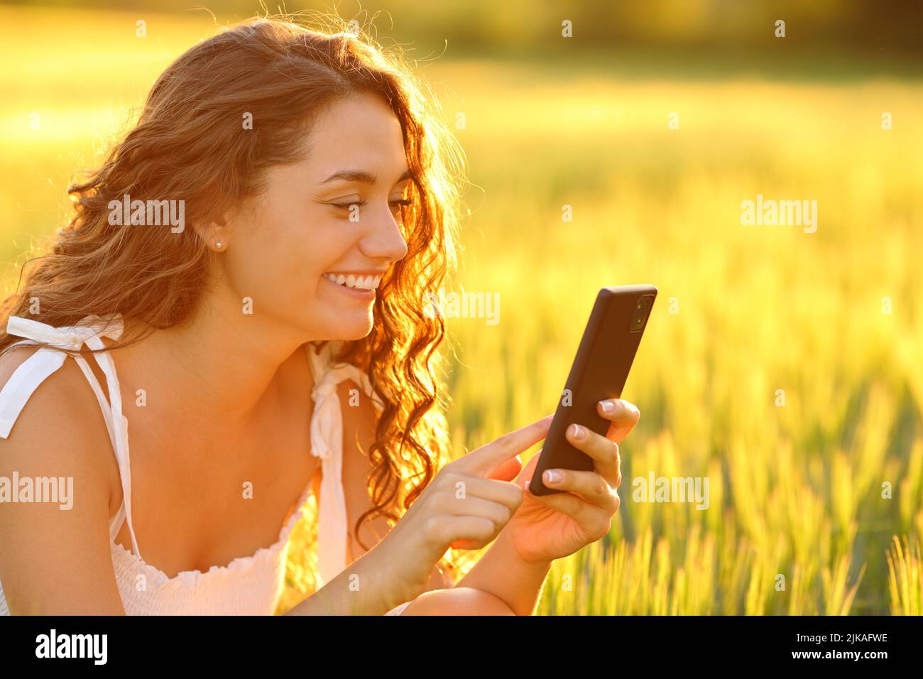 Donna felice utilizzando smartphone seduto in un campo di grano al tramonto Foto Stock