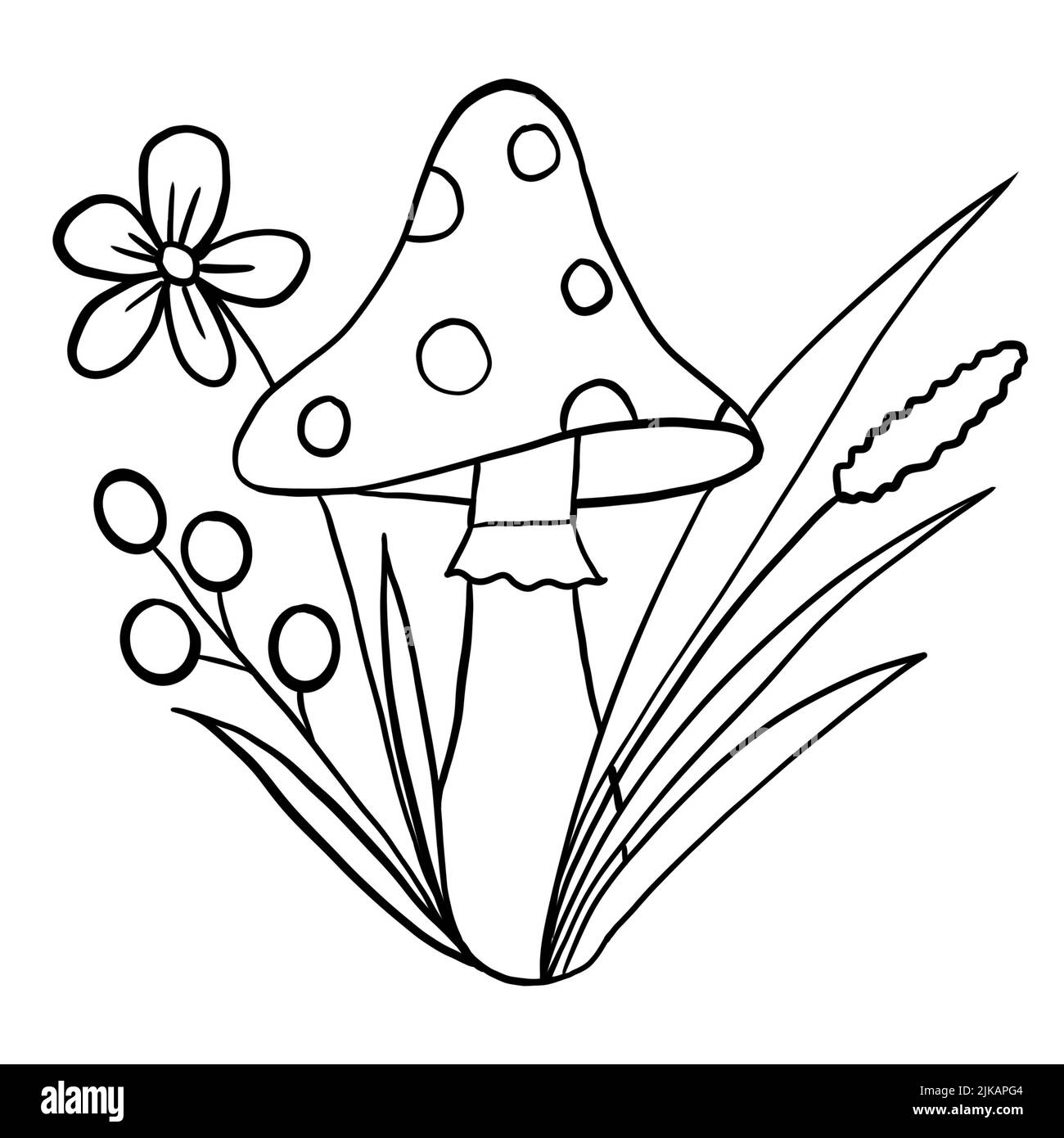 illsutrazione disegnata a mano di funghi amanita carino fungo con bosco erba verde piante bacche. Pagina da colorare con linea nera, semplice stile cartoon minimalista Foto Stock