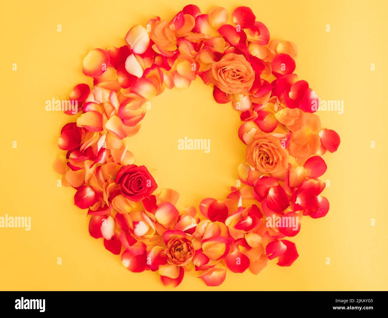 floreale corona petali rosa cornice sfondo arancione Foto Stock