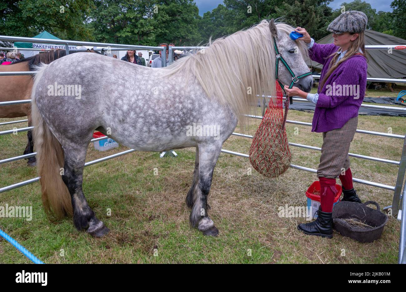 GWCT Scottish Game Fair 2022 a Scone Palace, Perthshire. Il concorso Fred Taylor Memorial Hill Pony Foto Stock