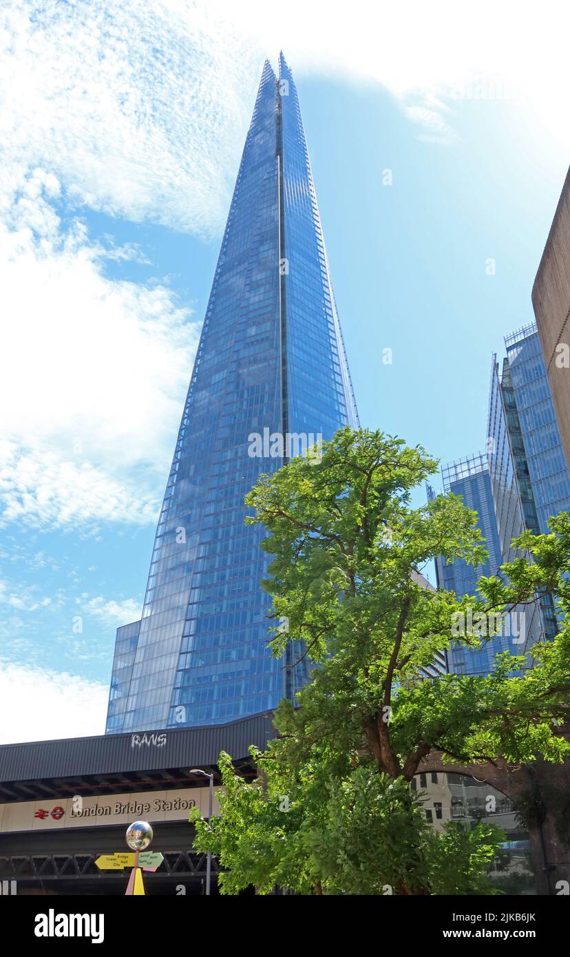 Albero in contrasto con lo Shard at London Bridge, 32 London Bridge St, SE1 9SG Foto Stock