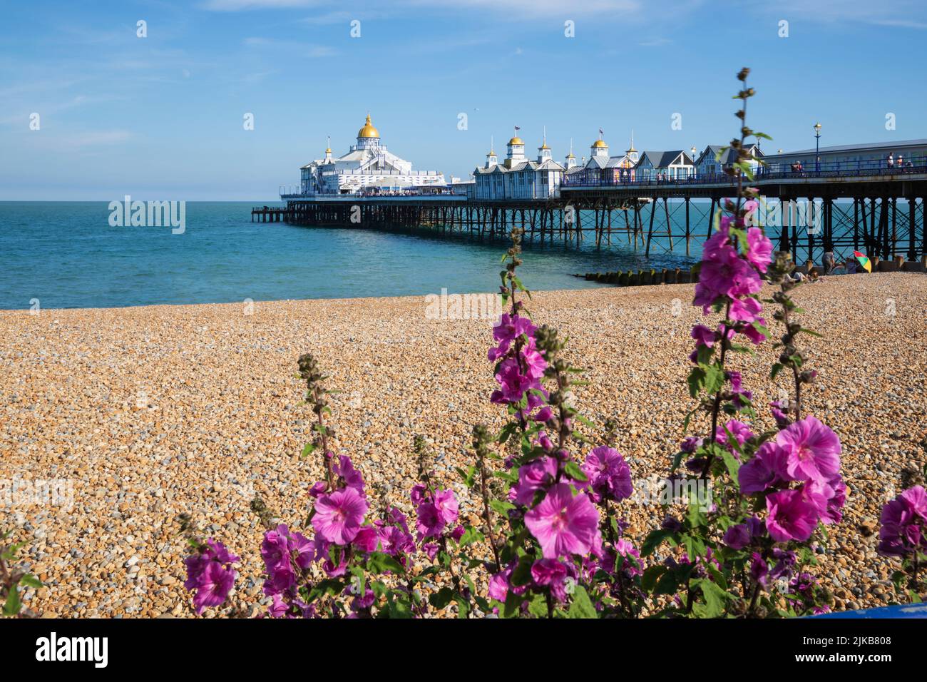 Vista sulla spiaggia di ciottoli fino a Eastbourne Pier, Eastbourne, East Sussex, Inghilterra, Regno Unito, Europa Foto Stock