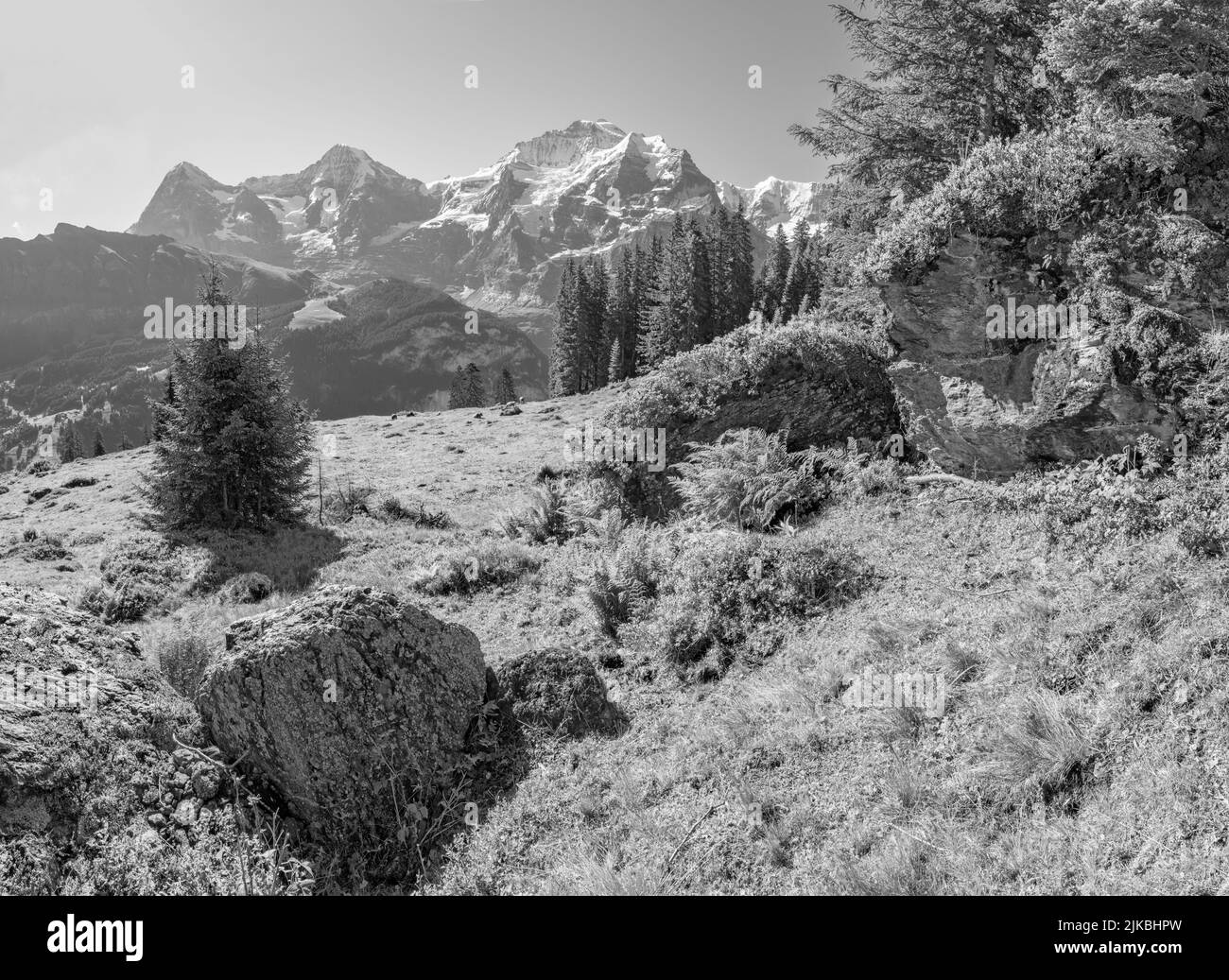 le alpi Bernesi con le cime di Jungfrau, Monch e Eiger sui prati delle alpi. Foto Stock